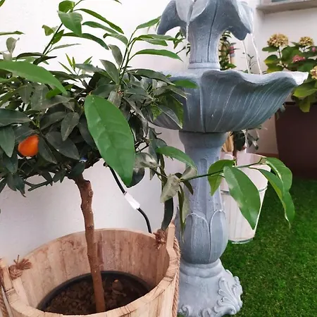 Casa Luce Guest house *